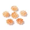 Synthetic Shell Dyed Beads SHEL-C006-01A-1