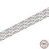 Rhodium Plated 925 Sterling Silver Figaro Chain STER-WH0011-03P-1