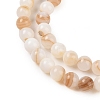 Natural Freshwater Shell Beads Strands SHEL-T011-02-6mm-3