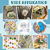 Natural Shell Display Decorations DIY-NB0014-92-5