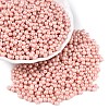 Glass Seed Beads SEED-T007-01C-3