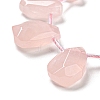 Natural Rose Quartz Beads Strands G-Z040-A02-01-4