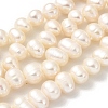 Natural Cultured Freshwater Pearl Beads Strands PEAR-A006-29C-1