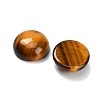 Natural Tiger Eye Cabochons G-B178-A04-14mm-2