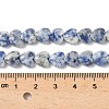 Natural Blue Spot Jasper Beads Strands G-D316-B10-4