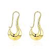 Elegant Fashion Brass Hoop Earrings EJEW-BB01519-1