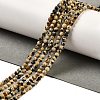 Natural Dalmatian Jasper Beads Strands G-Z068-B07-01-2