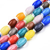 Handmade Lampwork Beads Strands LAMP-N023-004-01-1