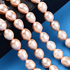 Natural Cultured Freshwater Pearl Beads Strands PEAR-N012-07L-6