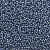 TOHO 11/0 Round Beads X-SEED-TR11-2102-2