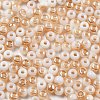 Glass Seed Beads GLAA-Q096-01F-2