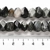 Natural Eagle Eye Stone Beads Strands G-N327-05-15-5