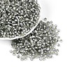 Silver Lined Glass Seed Beads SEED-T007-18A-03-1