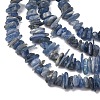 Natural Kyanite/Cyanite/Disthene Chip Beads Strands G-E271-78-3