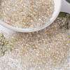 MIYUKI Round Rocailles Beads SEED-G008-RR4530-1