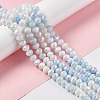 Ombre Effect Dyed Glass Beads Strands X-GLAA-C023-02A-2