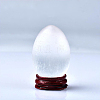 Egg Natural Selenite Figurines DJEW-PW0021-16-2