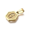 304 Stainless Steel Charms LS-STAS-H227-01G-G-2