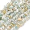 Natural Flower Amazonite Chips Beads Strands G-M205-12B-2