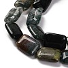 Natural Indian Agate Beads Strands G-T047-B25-01-4