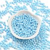 Baking Paint Glass Seed Beads X1-SEED-A032-02L-2