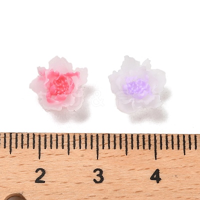 Luminous Resin Decoden Cabochons RESI-K036-06F-1