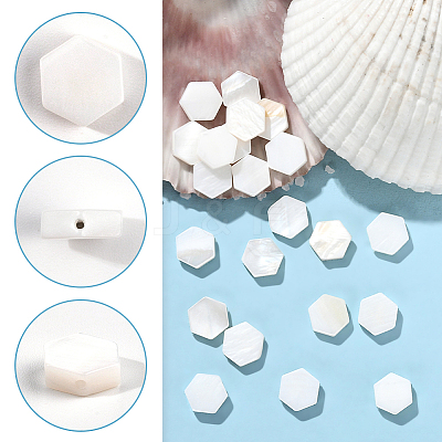 2 Strands Natural Freshwater Shell Beads Strands SSHEL-SC0001-36B-1