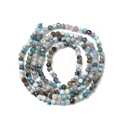 Natural Apatite Beads Strands G-K366-C05-2mm-1