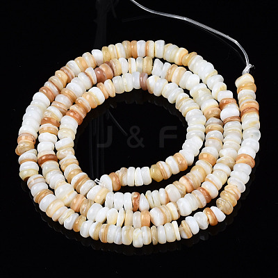 Natural Freshwater Shell Beads Strands SHEL-S278-067G-1