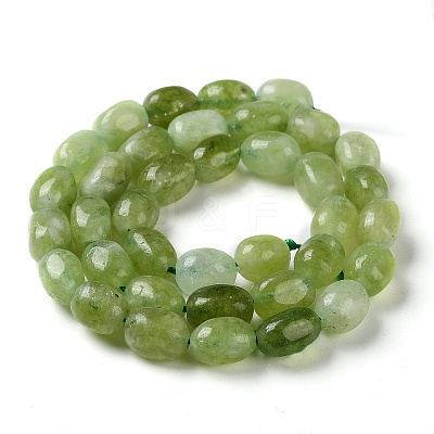 Natural Malaysia Jade Beads Strands G-I283-H14-01-1