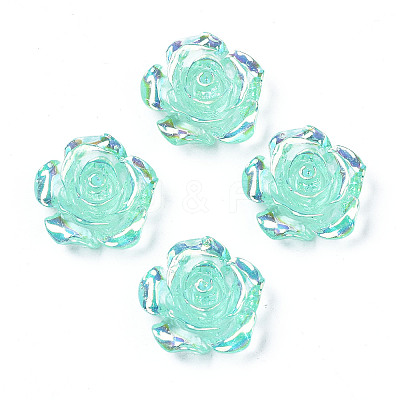 Transparent Resin Cabochons CRES-N030-001B-03-1