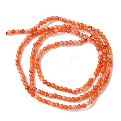 Natural South Red Agate Beads Strands G-B090-A04-01-1