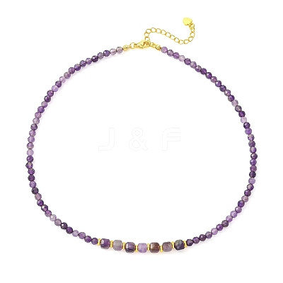 Natural Gemstone Faceted Graduated Beaded Necklaces NJEW-JN06618-1