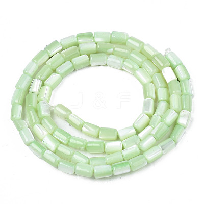 Natural Trochid Shell/Trochus Shell Beads Strands SHEL-N003-26-B08-1