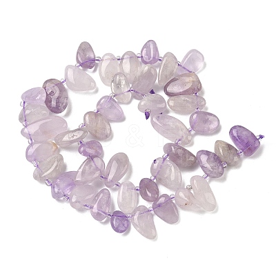 Natural Amethyst Beads Strands G-P604-A09-01-1