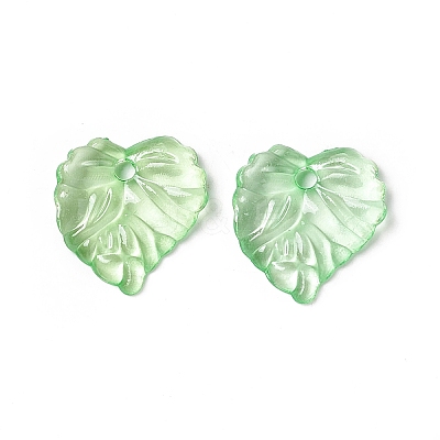 Transparent Acrylic Pendants X1-TACR-G039-01-1