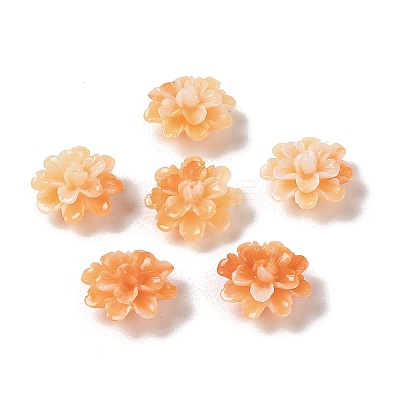 Synthetic Shell Dyed Beads SHEL-C006-01A-1