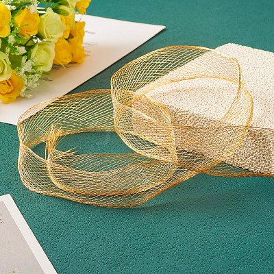 1M Mesh Ribbon PNT-TA0001-02C-1