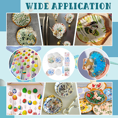 Natural Shell Display Decorations DIY-NB0014-92-1