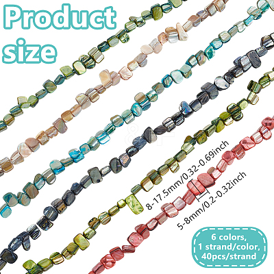 6 Strands 6 Colors Erose Shell Beads Strands BSHE-HY0001-05-1