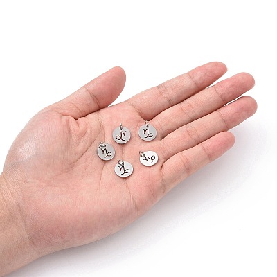 Non-Tarnish 304 Stainless Steel Charms STAS-Q201-T445-10S-1