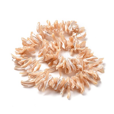 Natural Trochid Shell Beads Strands SSHEL-G023-05C-1