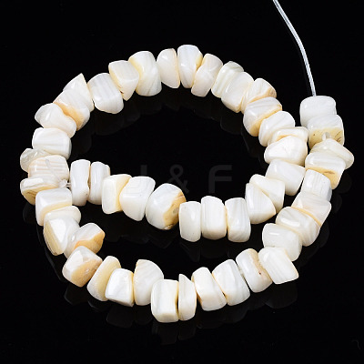 Natural Freshwater Shell Beads Strands SHEL-S278-042-1