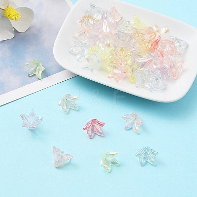 Transparent Acrylic Bead Caps OACR-FS0001-49-1