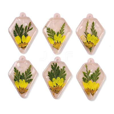Epoxy Resin Pendants RESI-S09-01P-RS-1