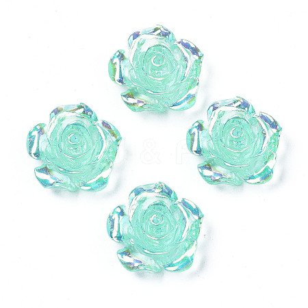 Transparent Resin Cabochons CRES-N030-001B-03-1