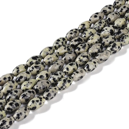 Natural Dalmatian Jasper Beads Strands G-K362-I14-06-1