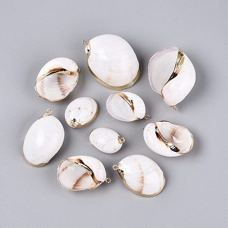 Electroplate Natural Sea Shell Pendants SSHEL-Q100-04KCG-1