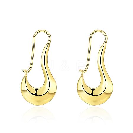 Elegant Fashion Brass Hoop Earrings EJEW-BB01519-1