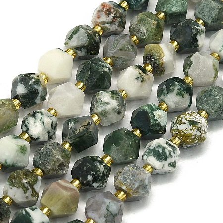 Natural Tree Agate Beads Strands G-I376-A36-01-1